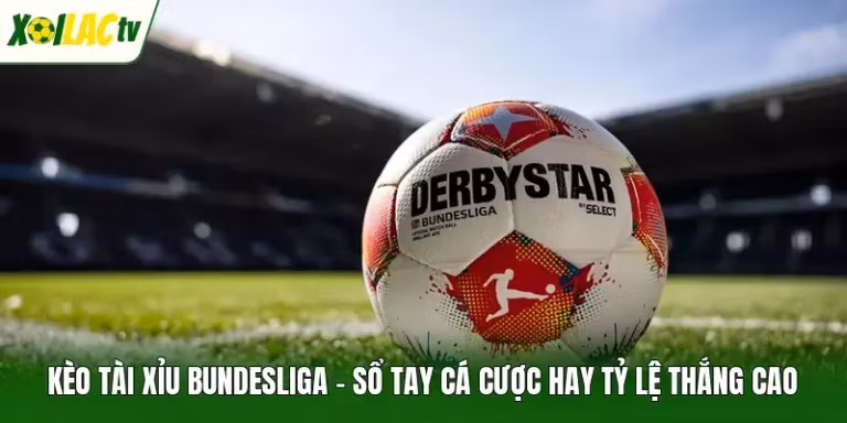 Kèo Tài Xỉu Bundesliga – Sổ Tay Cá Cược Hay Tỷ Lệ Thắng Cao